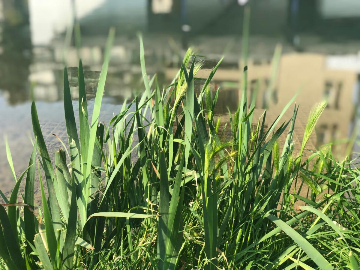 Residenza Fiori Di Grano Frühstückspension